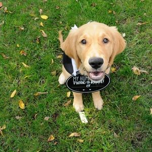 Meet your Posher, Dori